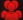Users Online